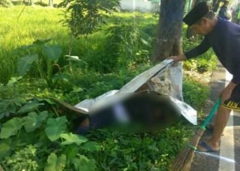 Satpam Meninggal Diduga Tabrakan dengan Mobil Dinas