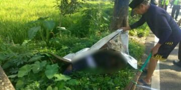 Satpam Meninggal Diduga Tabrakan dengan Mobil Dinas