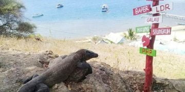 ASITA NTT: Manggarai Barat Butuh Polisi Pariwisata