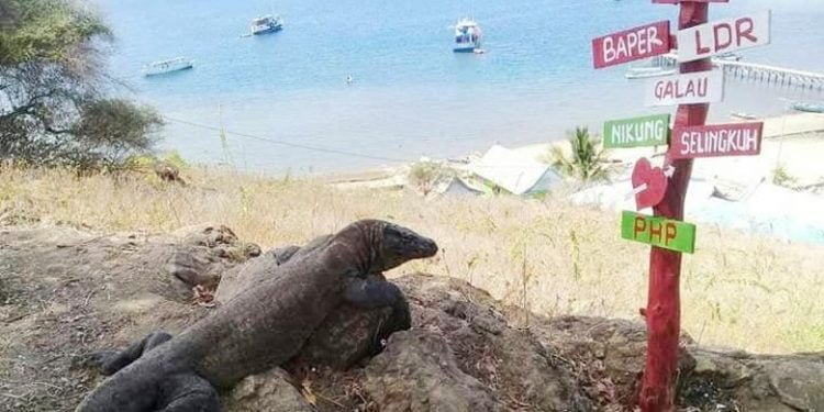 ASITA NTT: Manggarai Barat Butuh Polisi Pariwisata