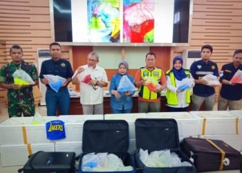 Benih Lobster Senilai 19 Milyar Digagalkan Petugas Keamanan Bandara