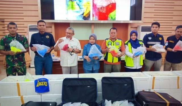 Benih Lobster Senilai 19 Milyar Digagalkan Petugas Keamanan Bandara