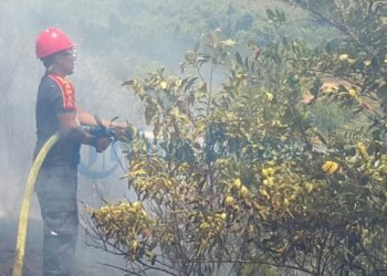 Akibat Satpam Lalai, Hutan Lindung Terbakar