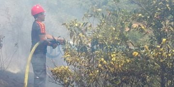 Akibat Satpam Lalai, Hutan Lindung Terbakar