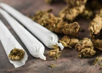 Satpam Pergoki Siswa SMP Bawa Tembakau Gorila