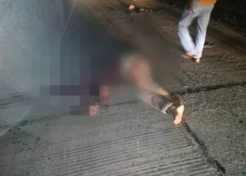 Kecelakaan Tunggal, Satpam BRI Tabrak Truk hingga Meninggal Dunia