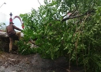 Pos Satpam UNS Solo Tertimpa Pohon Akibat Hujan Lebat