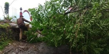 Pos Satpam UNS Solo Tertimpa Pohon Akibat Hujan Lebat