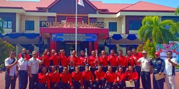 bravo satria perkasa