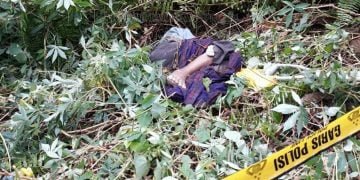 mayat di kebun sawit