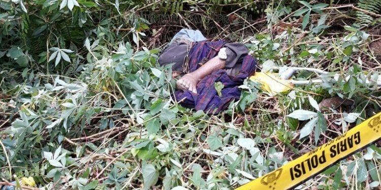 mayat di kebun sawit