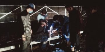 Akibat Sumur Gas TDN-01 Dirusak, Pertamina Merugi Rp230 Juta