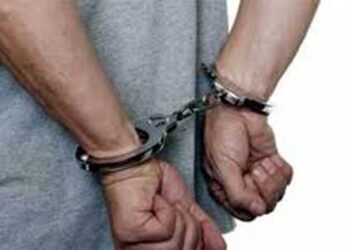 Satpam Perkebunan Tangkap Pencuri Pupuk