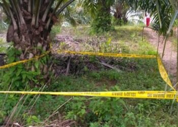 Satpam Kebun di Muratara Ditembak Mati Pencuri Sawit