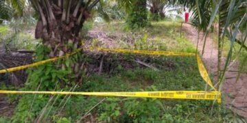 Satpam Kebun di Muratara Ditembak Mati Pencuri Sawit