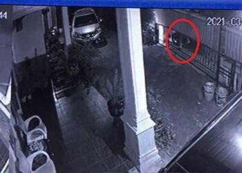 Ini Motif Sekuriti yang Melempar Kepala Anjing di Riau