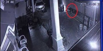 Ini Motif Sekuriti yang Melempar Kepala Anjing di Riau