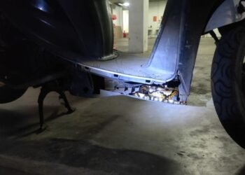 Tengah Bertugas, Motor Satpam Dimasuki Ular Sanca