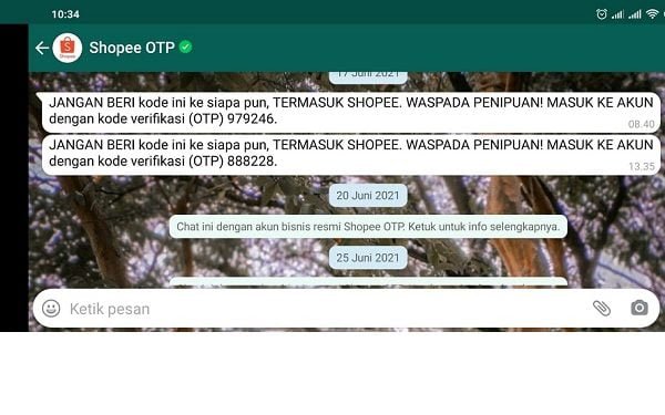 Ingat, Jangan Berikan OTP ke Orang Lain Saat Transaksi Digital!