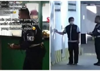 Satpam Tuai Pujian karena Kuburkan Kucing yang Ditabrak Pengendara