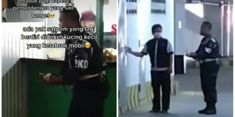 Satpam Tuai Pujian karena Kuburkan Kucing yang Ditabrak Pengendara