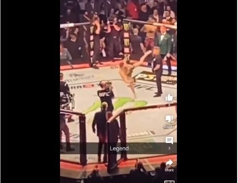 Sekuriti Tidak Gentar Ditendang Conor McGregor di UFC 264