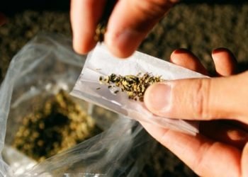 Sekuriti Ditangkap Gegara Gunakan Tembakau Gorila