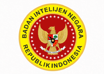 BIN Diretas Hacker, Pakar : Keamanan Siber Kita Lemah