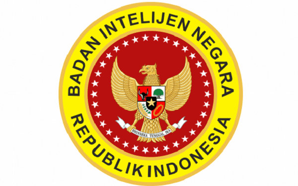 BIN Diretas Hacker, Pakar : Keamanan Siber Kita Lemah