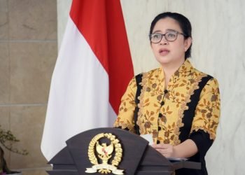 Puan : Panglima TNI yang Baru Diharapkan Kendalikan Keamanan di Papua