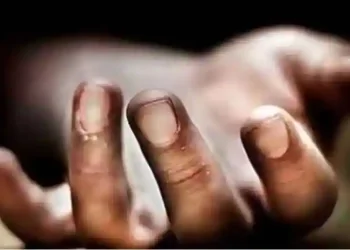 Satpam Perkebunan Kelapa Sawit Meninggal Saat Bertugas