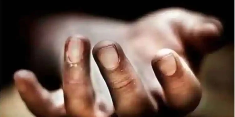 Satpam Perkebunan Kelapa Sawit Meninggal Saat Bertugas