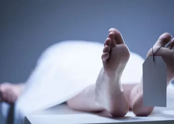 Tabrak Petugas Keamanan, Pemuda Palestina Ditembak Mati