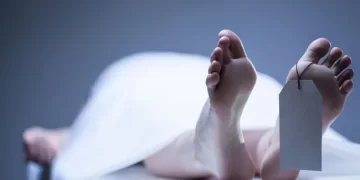 Tabrak Petugas Keamanan, Pemuda Palestina Ditembak Mati