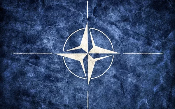 Gabung ke NATO, Amerika Jamin Keamanan Swedia