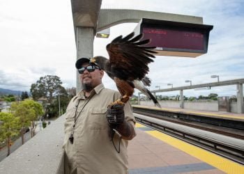Amankan Stasiun Kereta Bawah Tanah, BART Kontrak Pac-Man