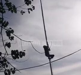 Aksi Heroik Satpam Saat Lihat Bendera Terbalik dan Tali Lepas