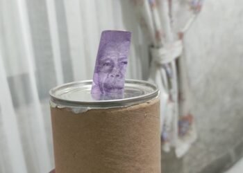 Inilah Tips Menabung di Rumah Agar Tidak Dimakan Rayap