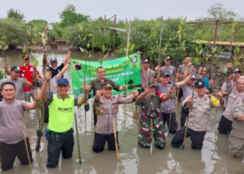 Peduli Lingkungan, Satpam Tanam Ratusan Pohon Mangrove