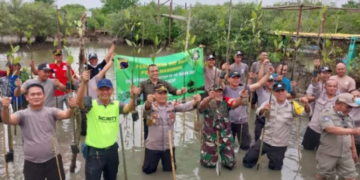 Peduli Lingkungan, Satpam Tanam Ratusan Pohon Mangrove