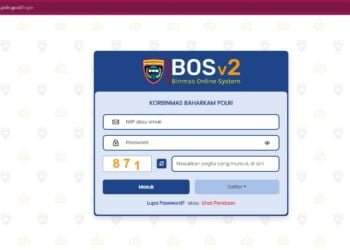 binmas online system