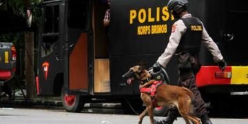 Berikut Diantara Anjing Pelacak yang Dipakai Datasemen K-9 di Kepolisian