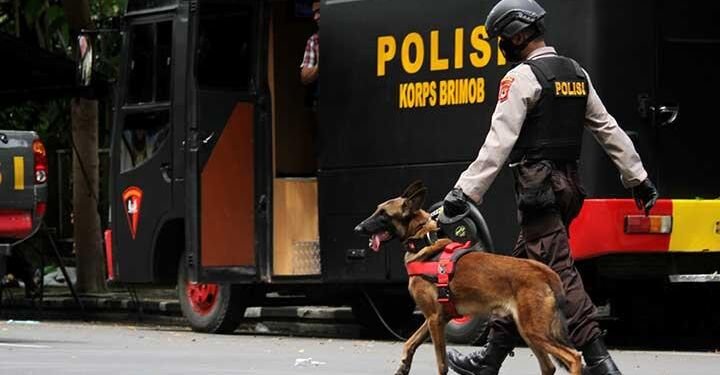Berikut Diantara Anjing Pelacak yang Dipakai Datasemen K-9 di Kepolisian