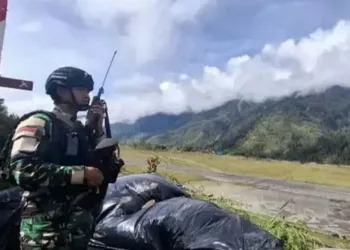 tni au papua