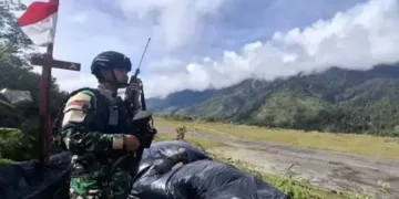 tni au papua