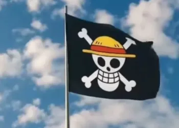 one piece flag