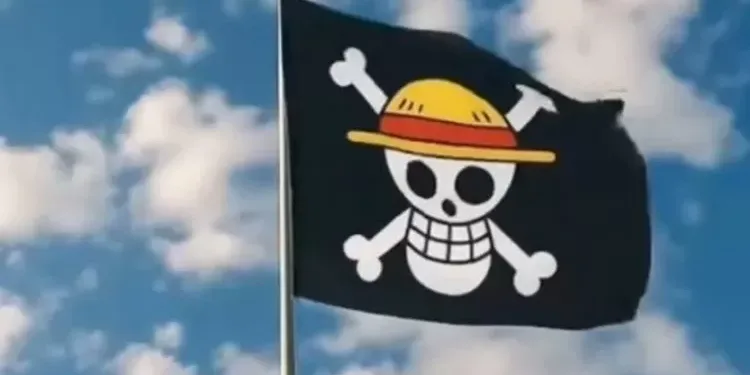 one piece flag