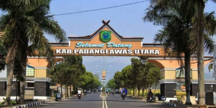 Menjaga Lingkungan Perkotaan di Musim Kemarau Bersama DLH