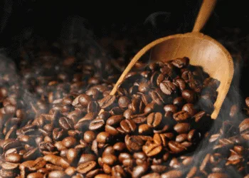 supplier kopi