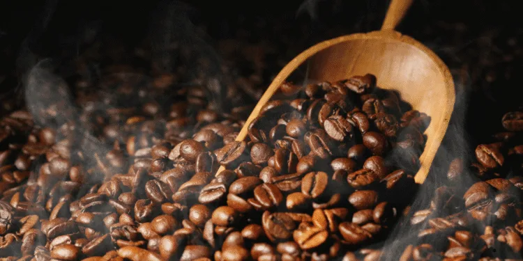supplier kopi
